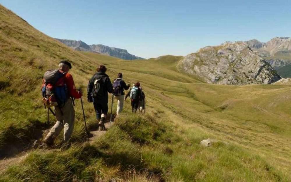 Gites Communaux A Lourdios Eksteriør bilde